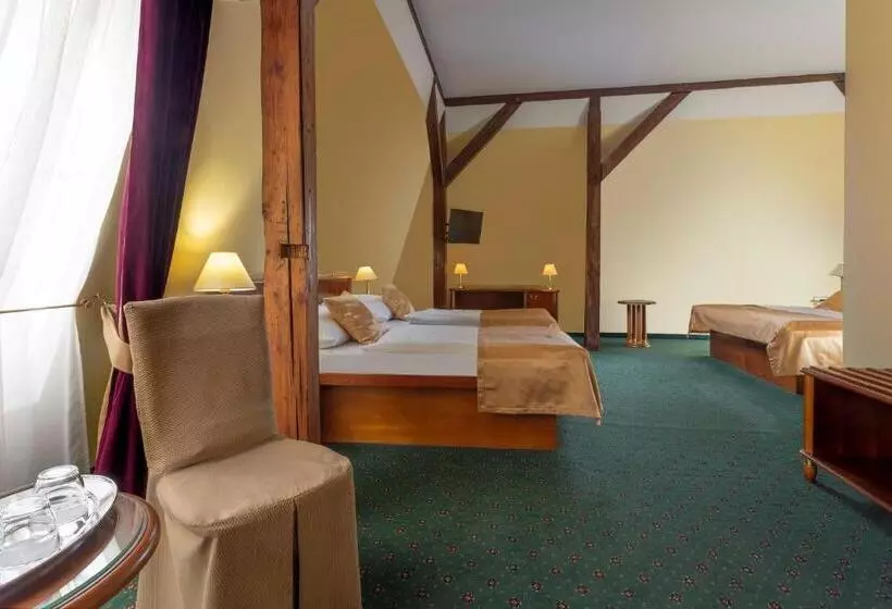 Fotos del hotel William:  22