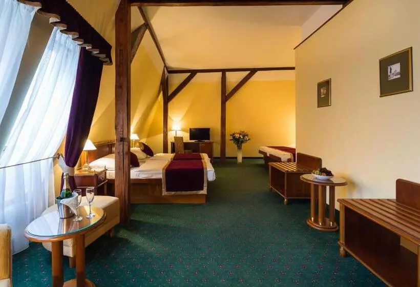 Fotos del hotel William:  18