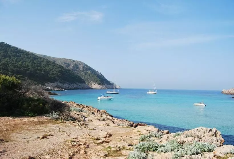 Fotos del hotel Ca’n Moragues:  17