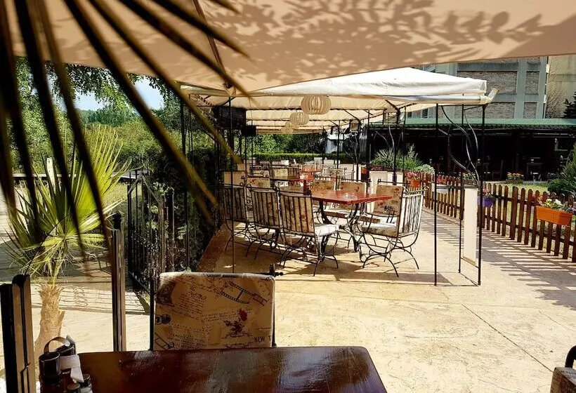 Fotos del hotel Delfin:  9