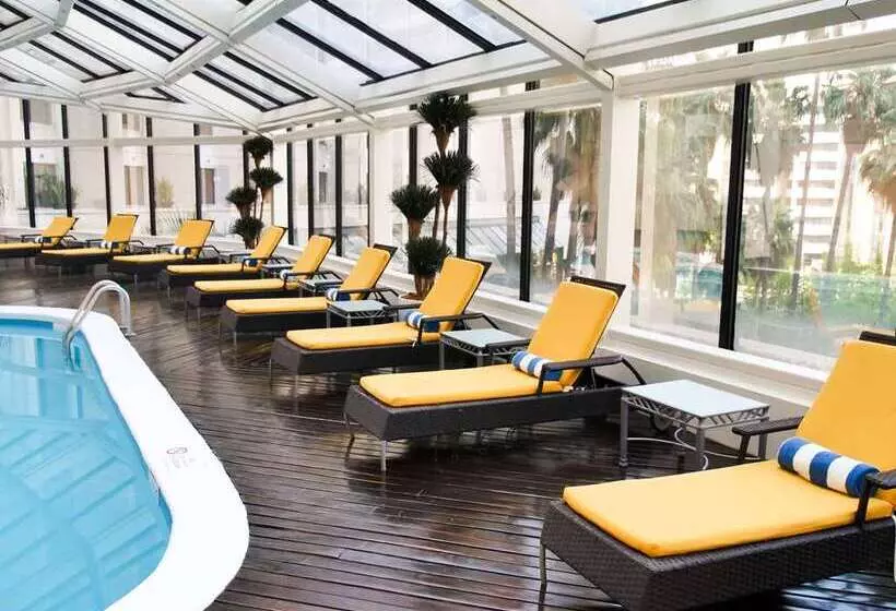 Fotos del hotel Ms Milenium Monterrey Curio Collection By Hilton:  19