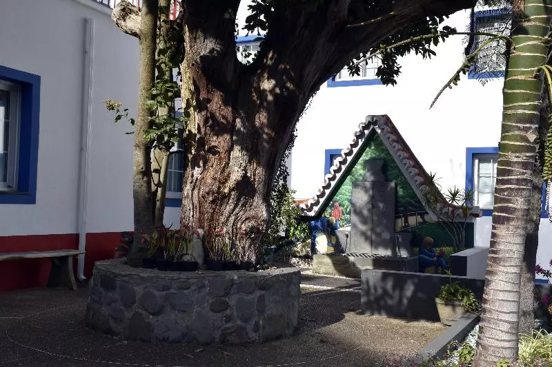 Fotos del hotel O Colmo:  18
