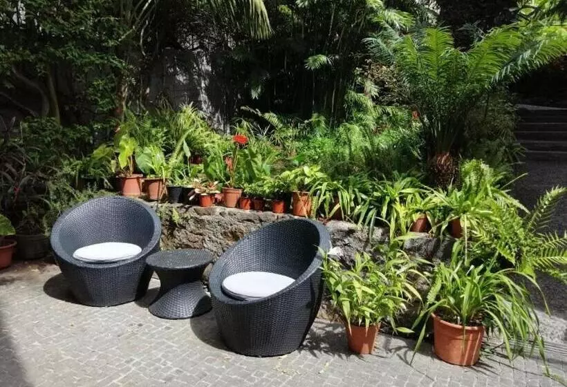 Fotos del hotel Vila Vicência:  12