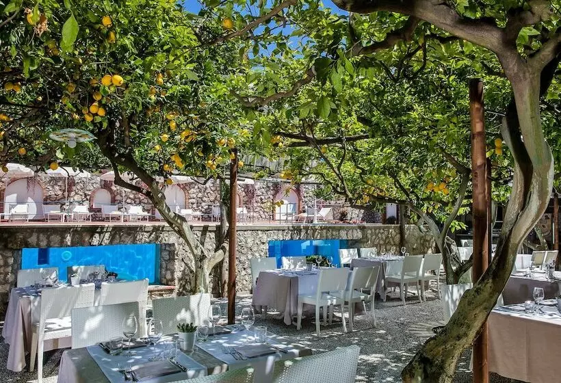 Fotos del hotel Syrene:  11