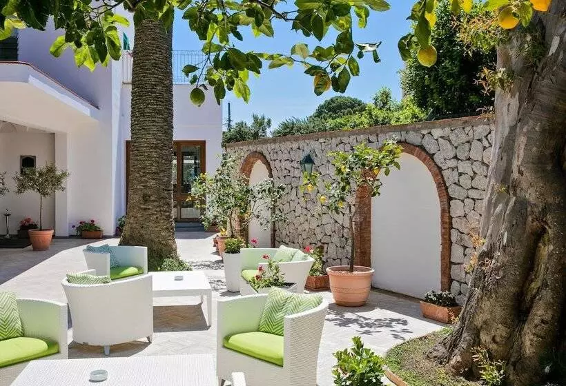 Fotos del hotel Syrene:  3