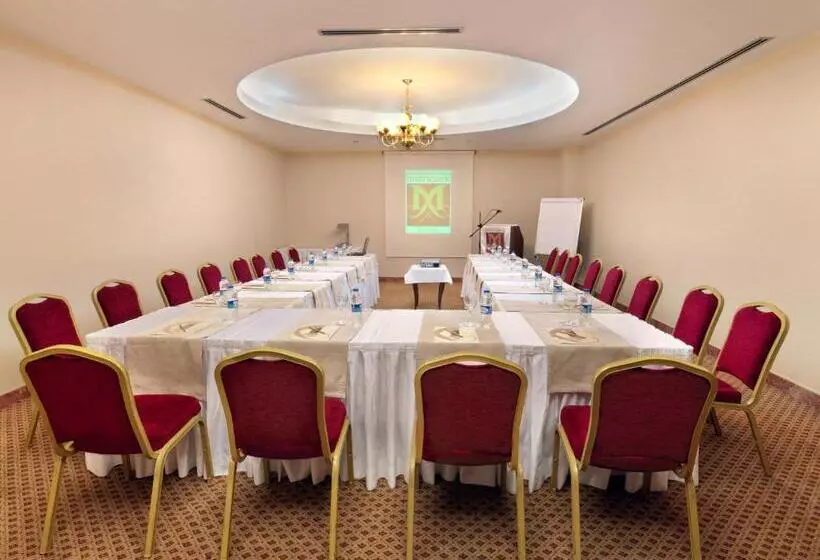 Fotos del hotel Taksim Metropark:  18