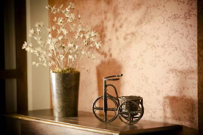 Fotos del hotel Carmel Express:  14