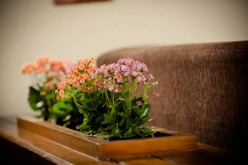 Fotos del hotel Carmel Express:  17