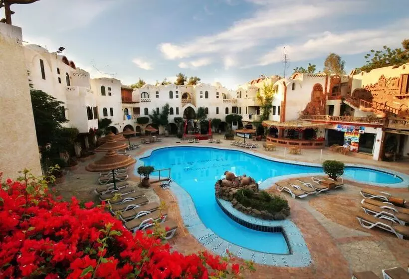 Fotos del hotel Amar Sina Village:  8