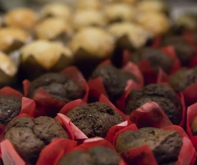 Fotos del hotel Petit Palace Posada Del Peine:  25