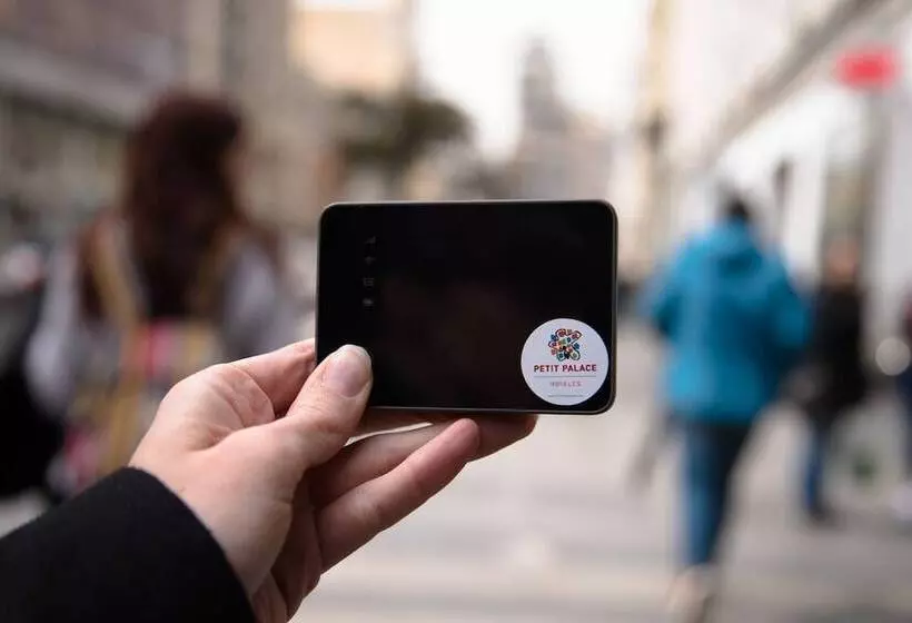 Fotos del hotel Petit Palace Posada Del Peine:  8