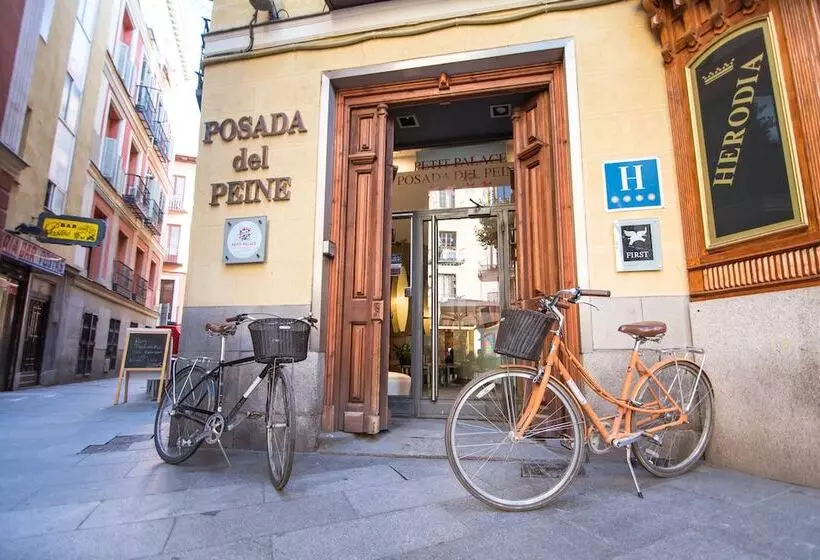 Fotos del hotel Petit Palace Posada Del Peine:  4