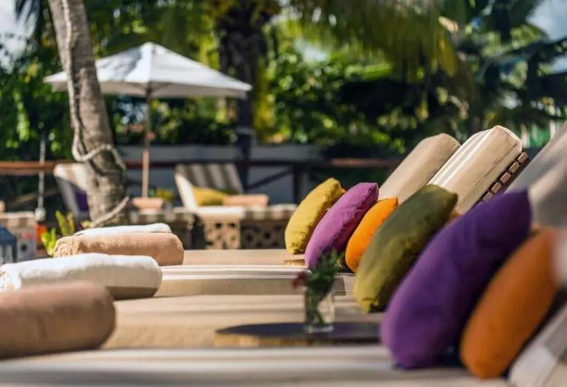 Fotos del hotel Ser Casasandra Boutique:  11