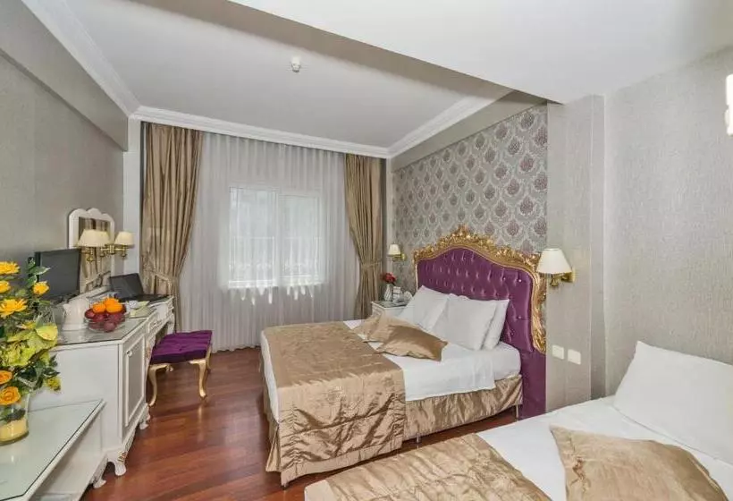 Fotos del hotel Santa Sophia:  12