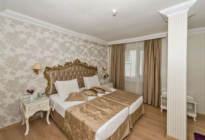 Fotos del hotel Santa Sophia:  19