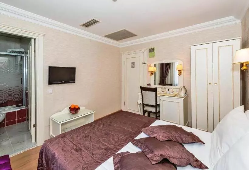 Fotos del hotel Santa Sophia:  4