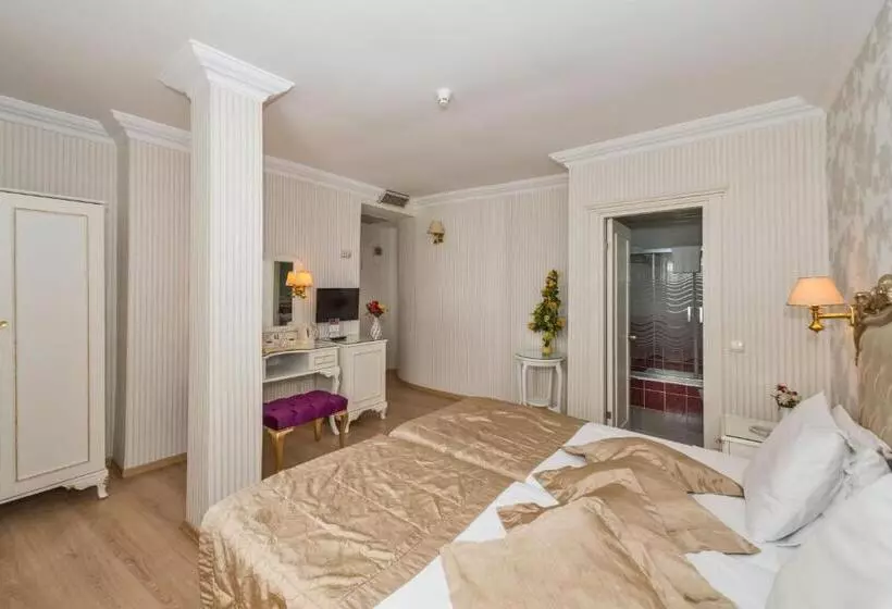 Fotos del hotel Santa Sophia:  14