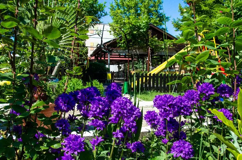 Fotos del hotel Hotel Trakia Garden:  5