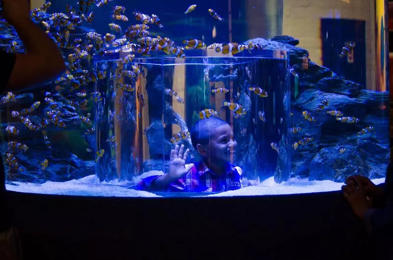 Fotos del hotel Fountains:  8