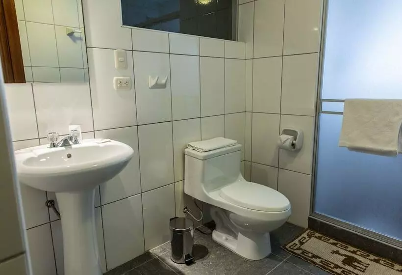 Fotos del hotel Hotel El Buho:  3