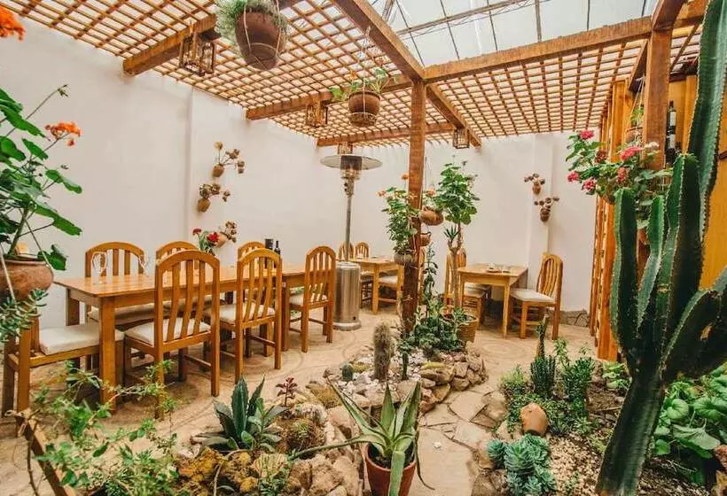 Fotos del hotel Hotel El Buho:  13