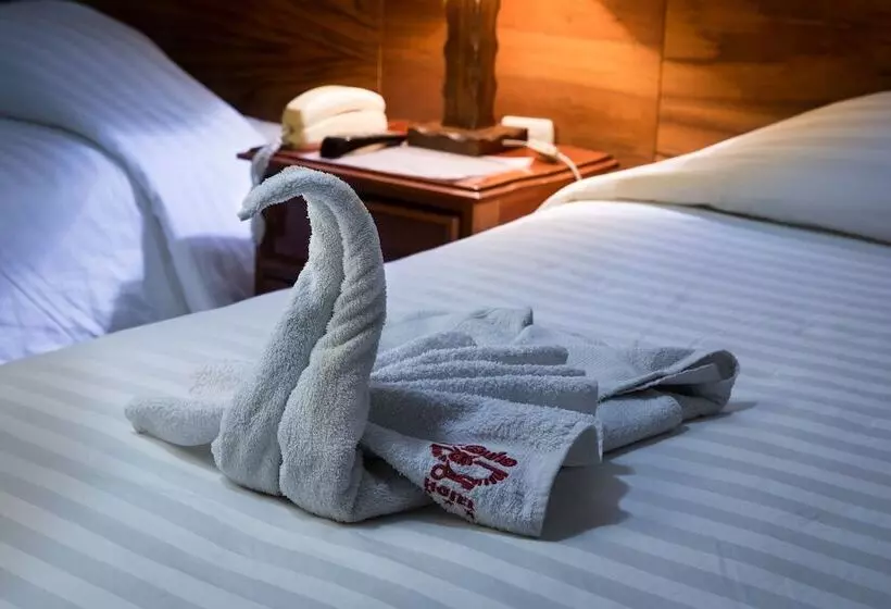 Fotos del hotel Hotel El Buho:  14