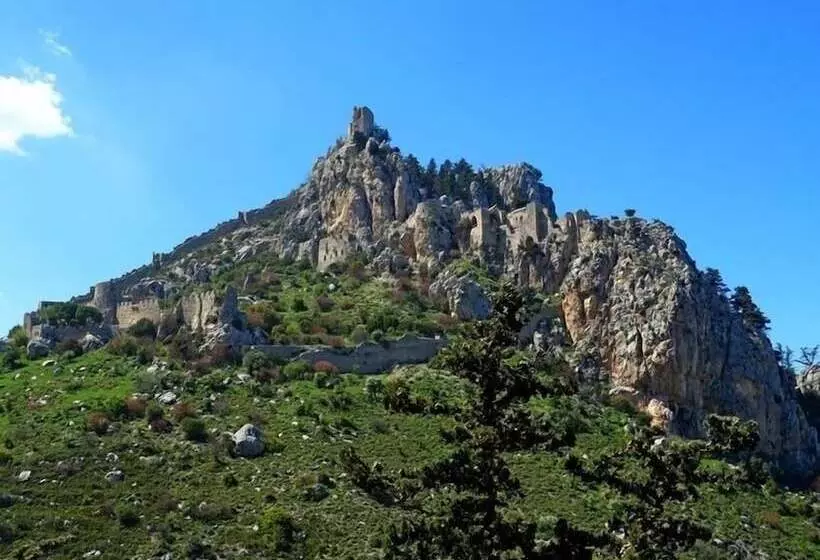 Fotos del hotel Oscar Resort Hotel:  17