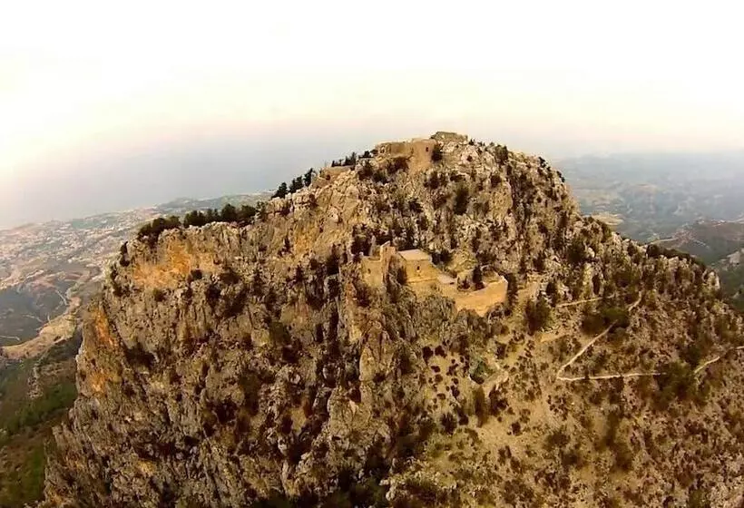 Fotos del hotel Oscar Resort Hotel:  9