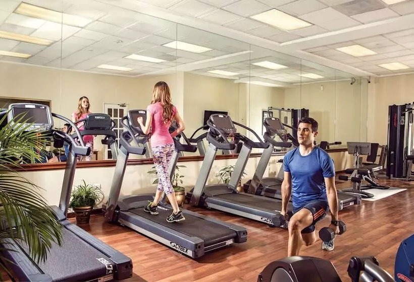 Fotos del hotel Safi Royal Luxury Valle:  4