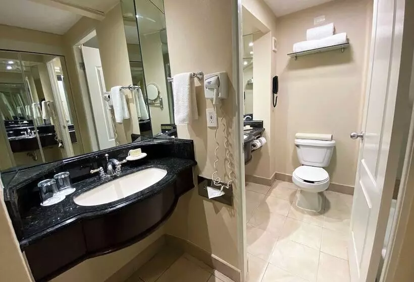 Fotos del hotel Safi Royal Luxury Valle:  16