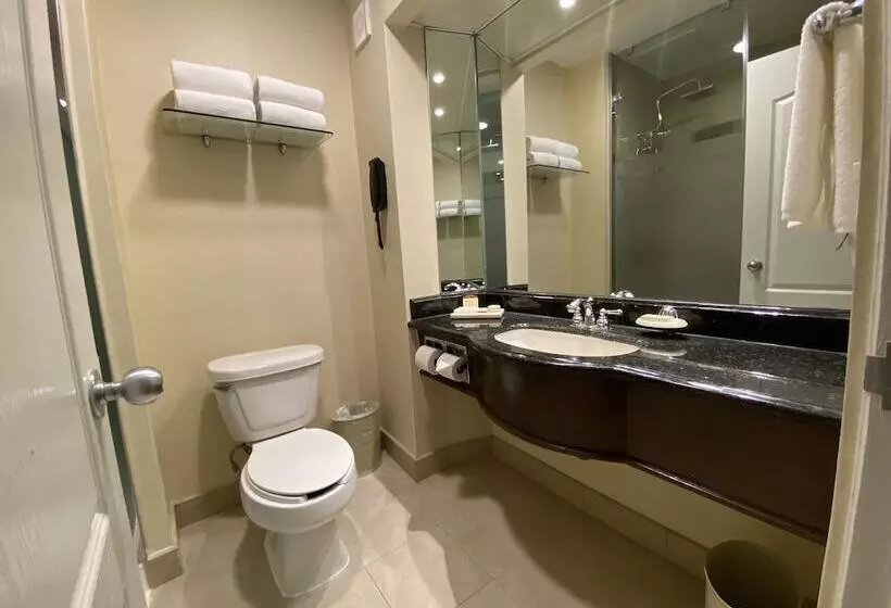 Fotos del hotel Safi Royal Luxury Valle:  8