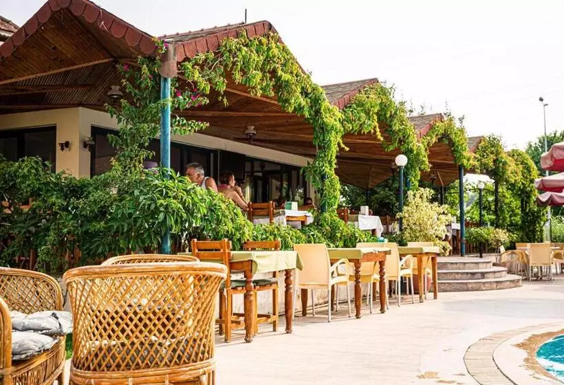 Fotos del hotel Bezay:  14