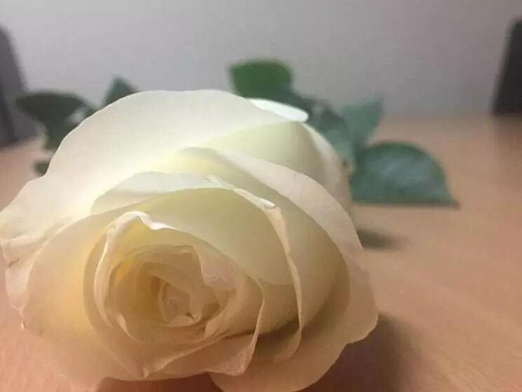 Fotos del hotel Euro:  8