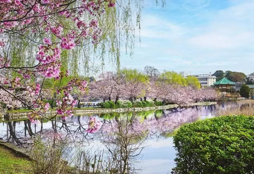 Fotos del hotel Mandarin Oriental Tokyo:  7