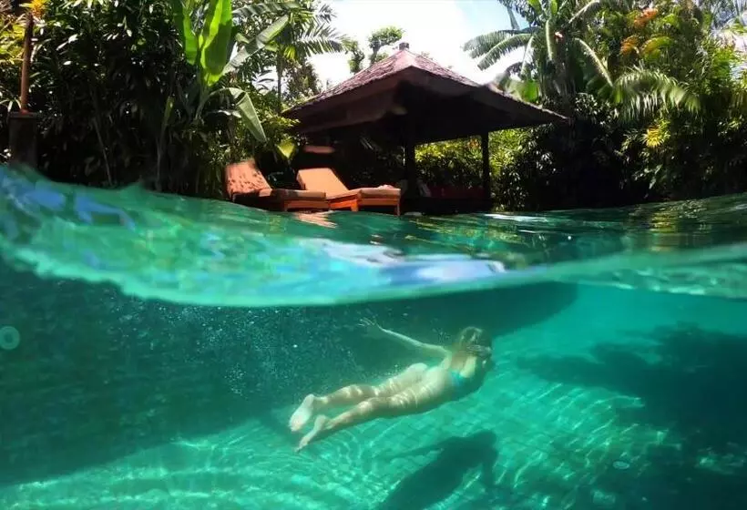 Fotos del hotel Jamahal Private Resort & Spa  Adults Only:  10