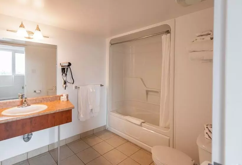 Fotos del hotel Les Suites Labelle:  25