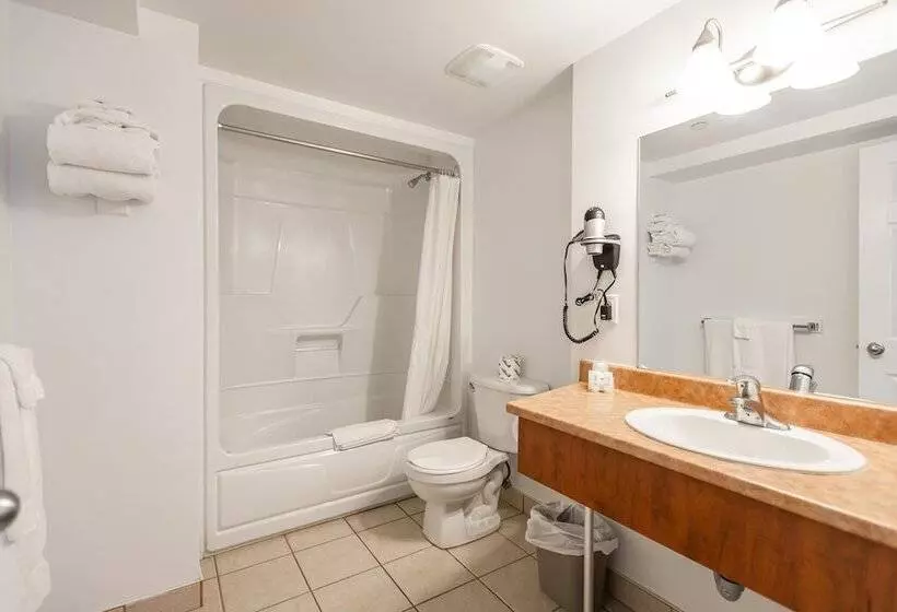 Fotos del hotel Les Suites Labelle:  19