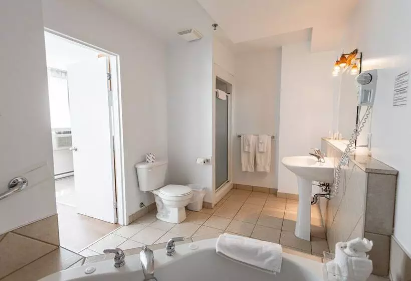 Fotos del hotel Les Suites Labelle:  6