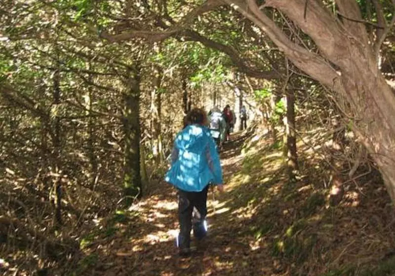 Fotos del hotel Great National Mulranny Park:  11