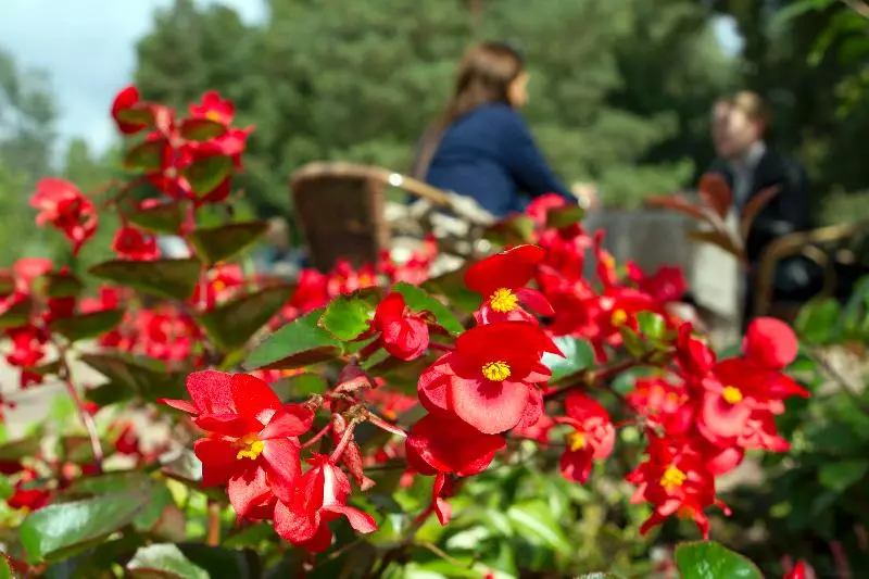 Fotos del hotel Alfa Art:  8