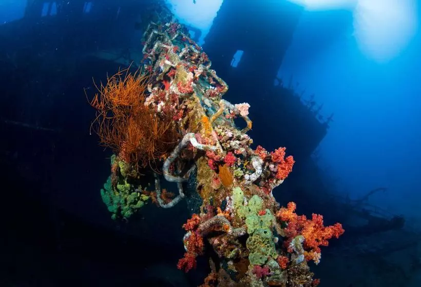 Fotos del hotel Captain S Inn:  6