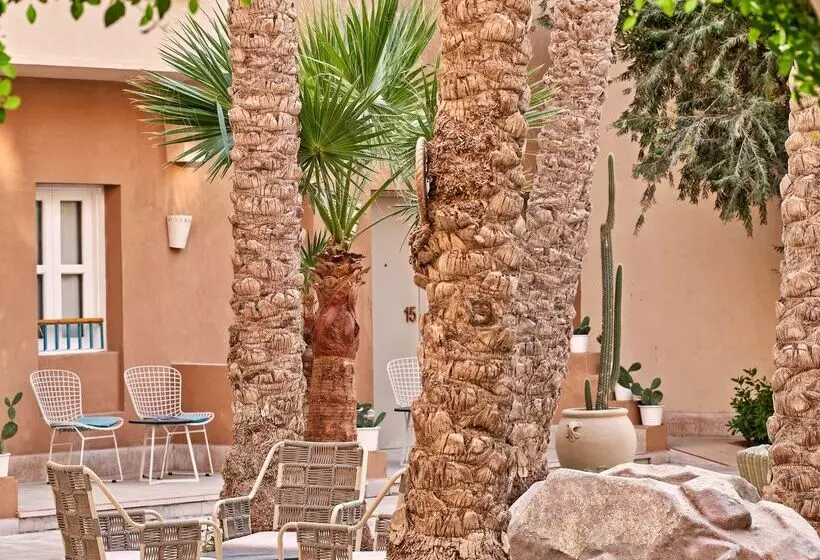 Fotos del hotel Captain S Inn:  9