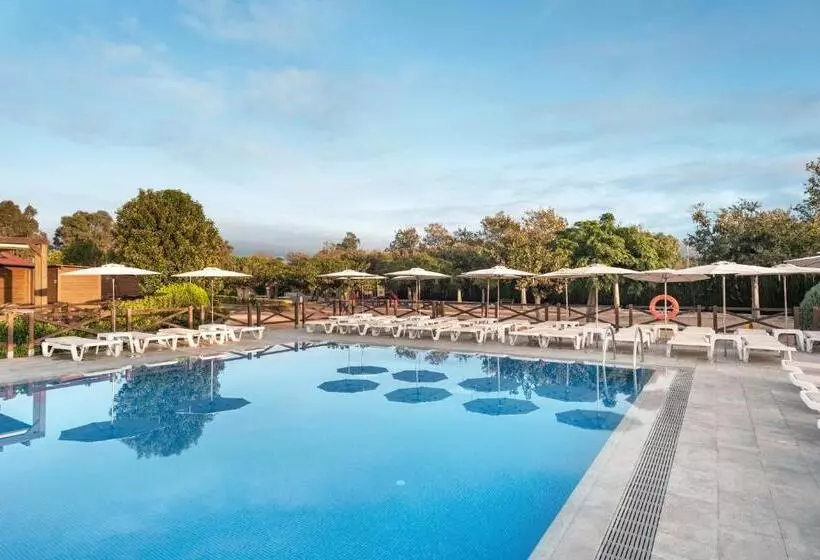 Fotos del hotel Mediterraneo:  11