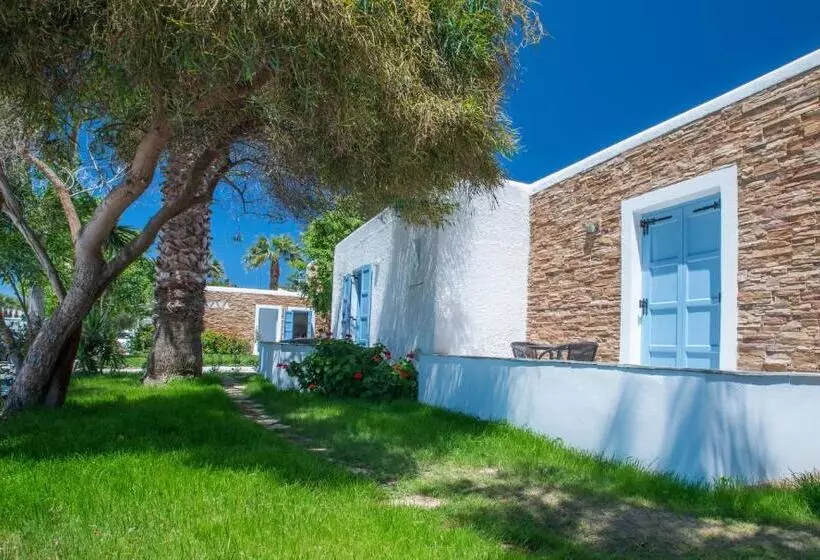 Fotos del hotel Naxos Holidays:  13