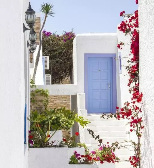 Fotos del hotel Naxos Holidays:  10