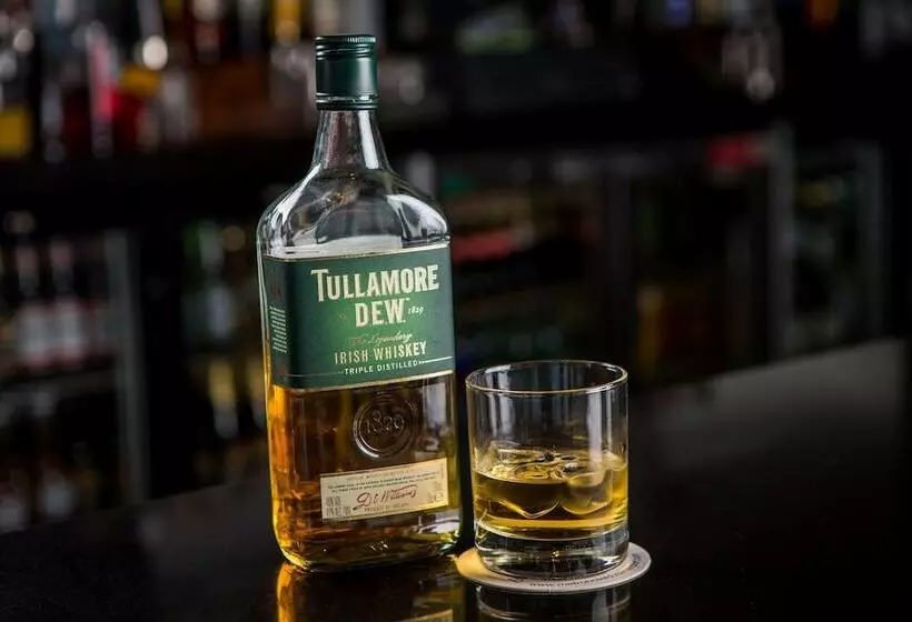 Fotos del hotel Metro Hotel Dublin Airport:  5