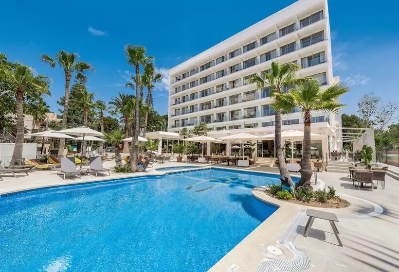 Allsun Palmira Cormorán