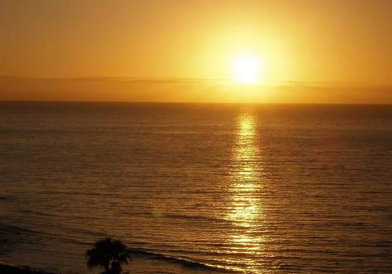 Fotos del hotel Europalace:  14