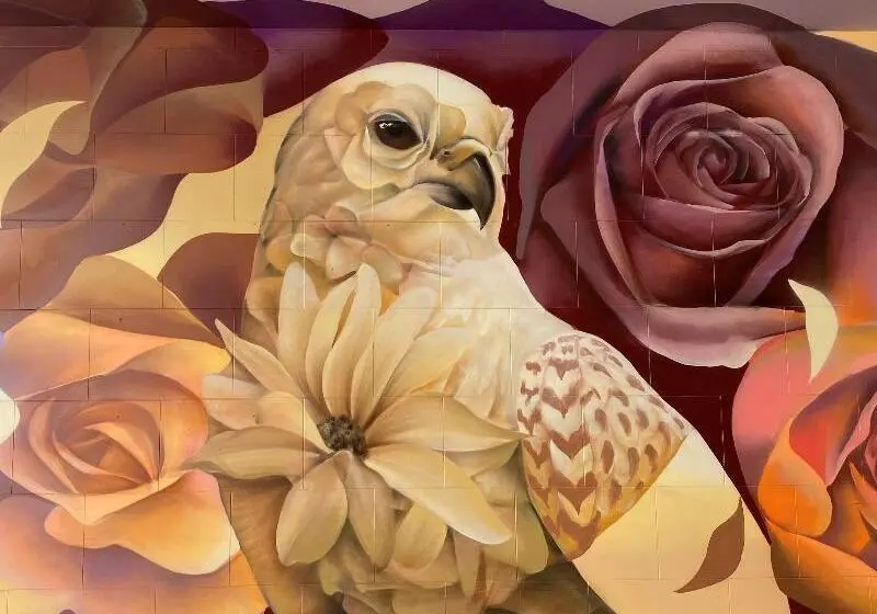 Fotos del hotel The Fitzwilton Hotel:  6