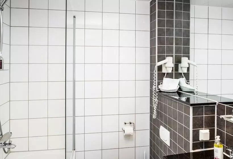 Fotos del hotel Center S Arnarhvoll:  17